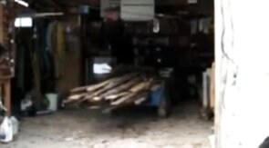 Silver Fox Strokes Wood at the Sawmill