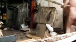 Silver Fox Strokes Wood at the Sawmill