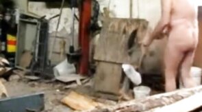 Silver Fox Strokes Wood at the Sawmill