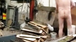 Silver Fox Strokes Wood at the Sawmill