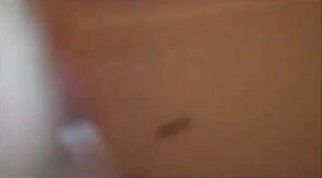 Twink Goes Bareback with Daddy's Big Cock