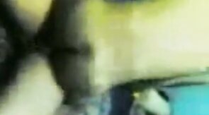 Indonesian Daddies Group Blowjob