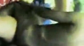 Indonesian Daddies Group Blowjob