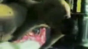 Indonesian Daddies Group Blowjob