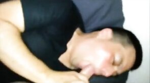 Verbal White Top Breeds Two Twinks Bareback