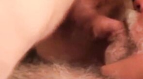 Bearded Daddy Bear Sucks and Cums on Cock