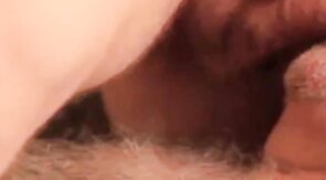 Bearded Daddy Bear Sucks and Cums on Cock