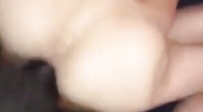 Black Bareback Owner Breeds