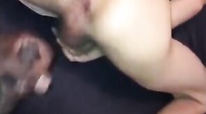 Black Bareback Owner Breeds