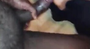 Black Bareback Owner Breeds