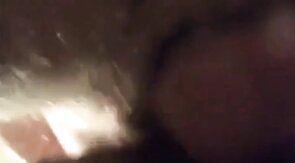 Amateur Bears Home Video