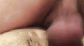 Amateur Bears Home Video