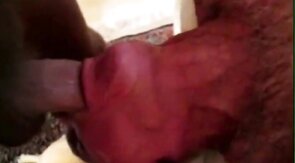 Big-Cock Blowjob for Silver-Haired Daddy