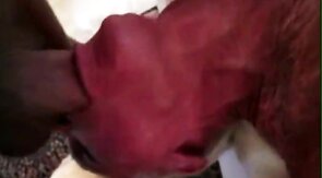 Big-Cock Blowjob for Silver-Haired Daddy