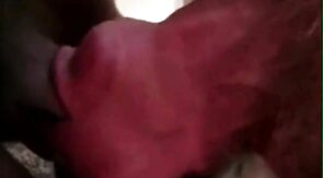 Big-Cock Blowjob for Silver-Haired Daddy