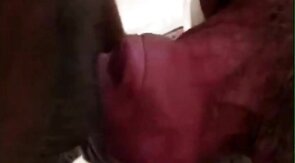 Big-Cock Blowjob for Silver-Haired Daddy