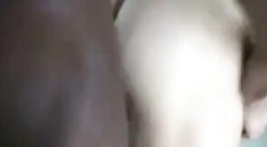 Big Black Cock Breeds White Hole Bareback