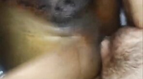 Black Bitch Bred by White Top Bareback