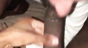 Black Cock Lover's Blowjob Adventure