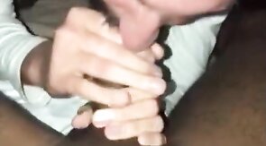 Black Cock Lover's Blowjob Adventure