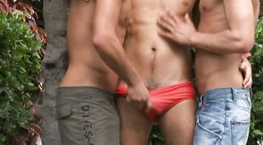 Three naked cocksuckers are blowing cocks outdoors