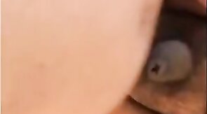 Bareback Bear Pounding