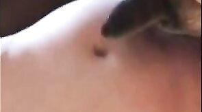 Bareback Bear Pounding