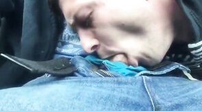 Like a Champ: Amateur Blowjob