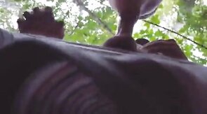 Daddy Bear Sucks in the Park