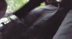 Daddy Bear Sucks in the Park