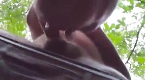 Daddy Bear Sucks in the Park