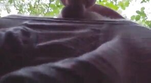 Daddy Bear Sucks in the Park