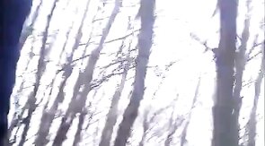 Bears Group Sex Outdoor