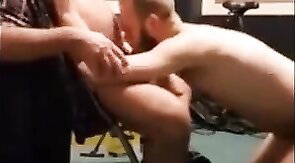 Ursos Peludos: Diversão Adulta