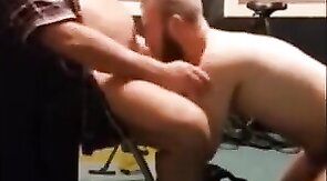 Ursos Peludos: Diversão Adulta