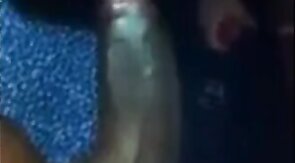 Black Cock Sucked by Amateur