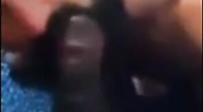 Black Cock Sucked by Amateur