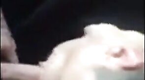 Passionate Blowjob by Paddy