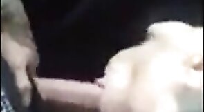 Passionate Blowjob by Paddy