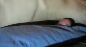 Twink's Blue Pillow Pleasure