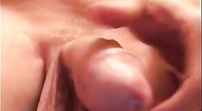 Big Cock Hunk's Heavy Balls & Dripping Precum