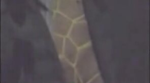 Asian Crossdresser Cums Outside