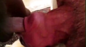 Big-Cock Blowjob for Silver-Haired Daddy