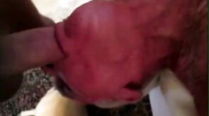 Big-Cock Blowjob for Silver-Haired Daddy