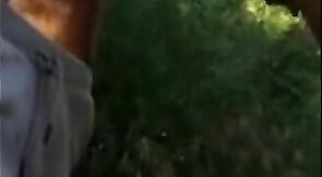 Old Daddies Bareback in the Great Outdoors