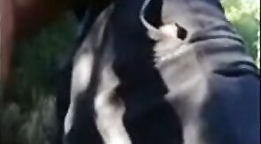 Old Daddies Bareback in the Great Outdoors