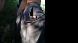 Old Daddies Bareback in the Great Outdoors