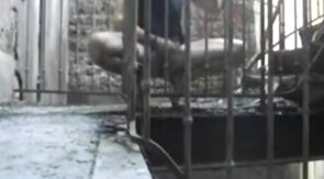 Homeless Big-Cock Amateur Masturbating