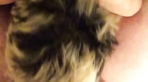 Hungry Twink Feeds on Daddy Bear's Meat