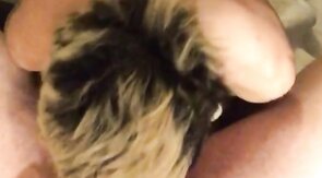 Hungry Twink Feeds on Daddy Bear's Meat